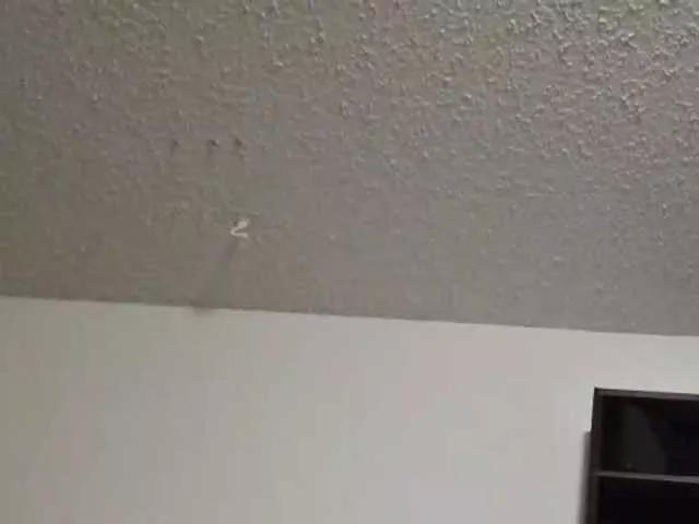 CoupleofNymphs8890 on BongaCams 