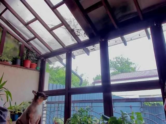 ingridblondy94 on BongaCams 
