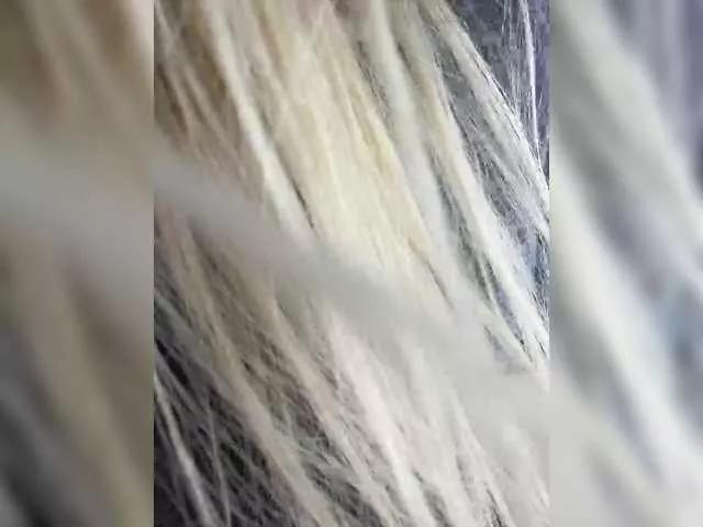 x-NaStyA-x