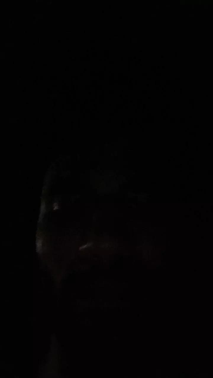 dotsaf92 on Cam4 