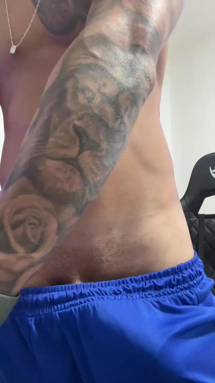 gato_dtado on Cam4 
