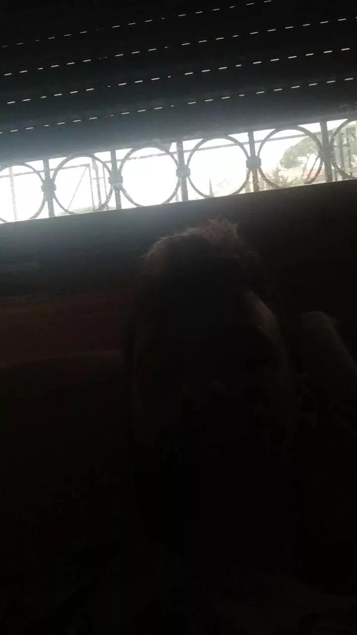 Giebi2