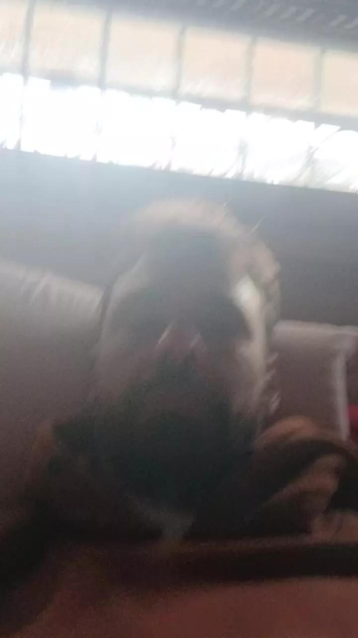 Giebi2