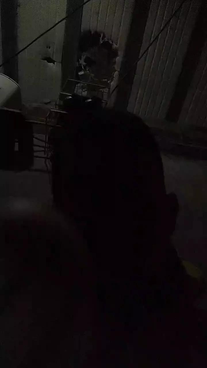 MorochoDotadoh on Cam4 