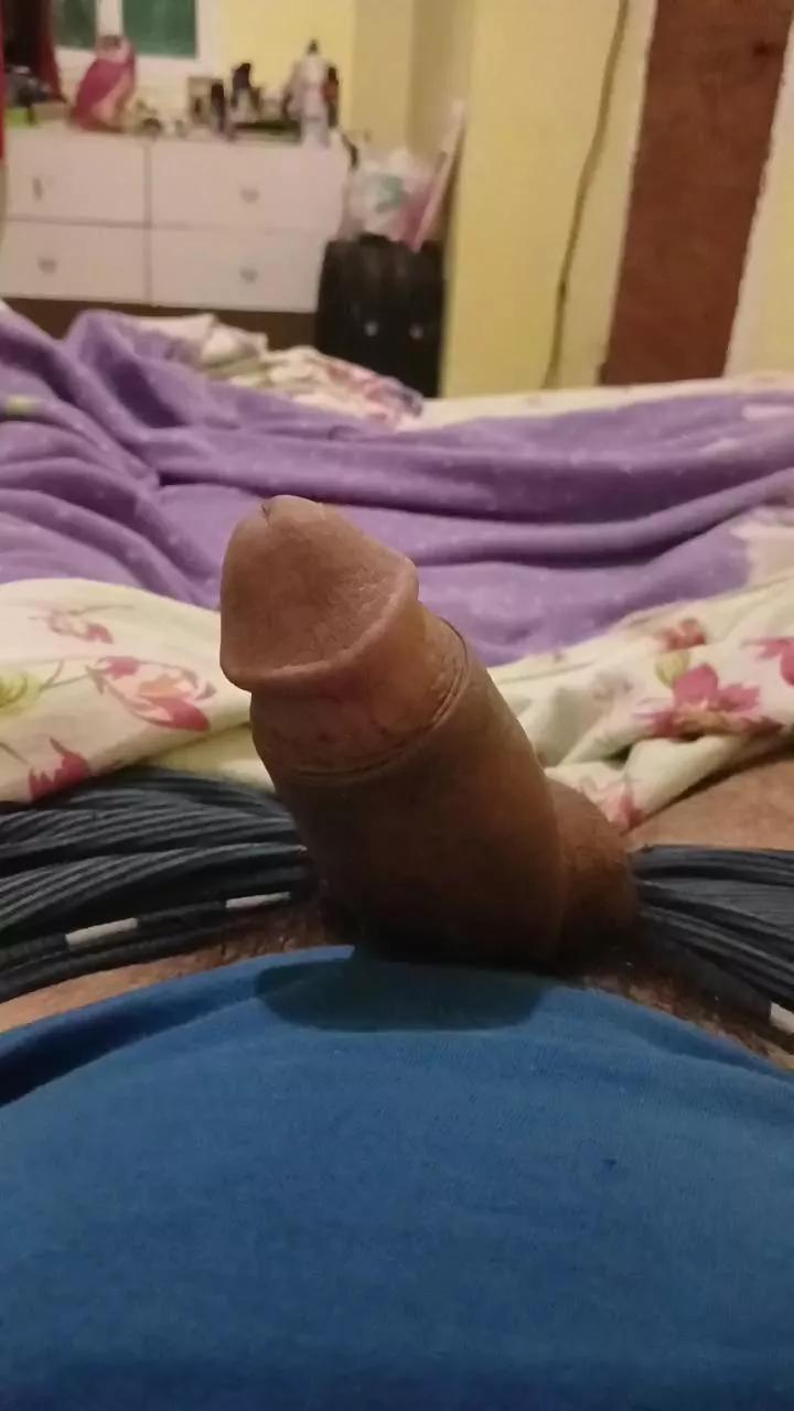 Palodulce3 on Cam4 