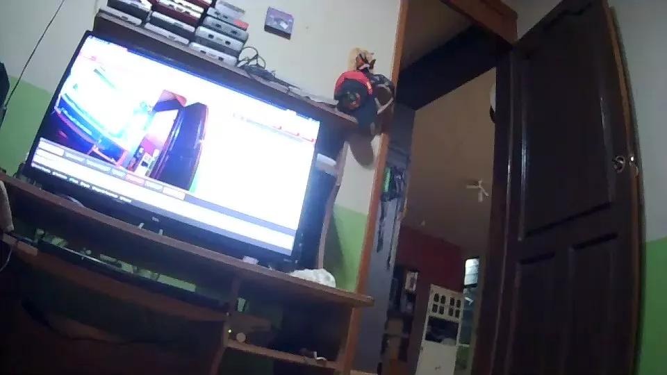 pitochico28 on Cam4 