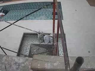 voyeurcam-casa-salsa-hottub-view on CamSoda 