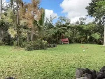 Chaturbate kaileeshy is Freechat kaileeshy — Hi